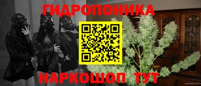 мяу мяу кристалл Сланцы