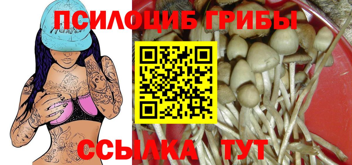 Псилоцибиновые грибы Cubensis  Псилоцибиновые грибы GOLDEN TEACHER  Вход с VPN  Амурск 