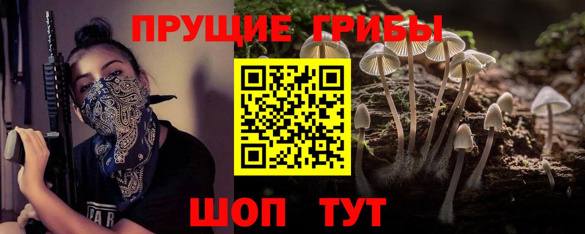 Галлюциногенные грибы Magic Shrooms Амурск
